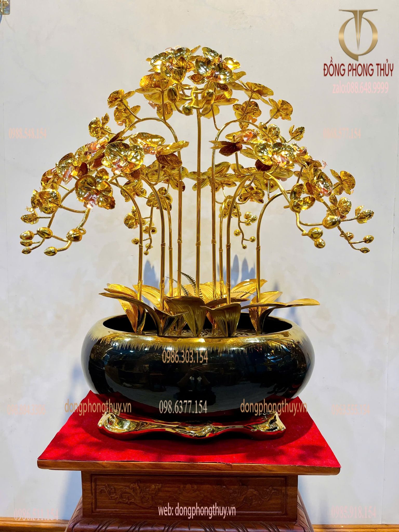 hoa lan mạ vàng 24k