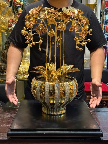 Chậu hoa lan bằng đồng mạ vàng 24k