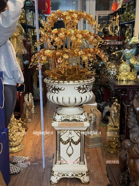 Chậu hoa lan bằng đồng mạ vàng 24k