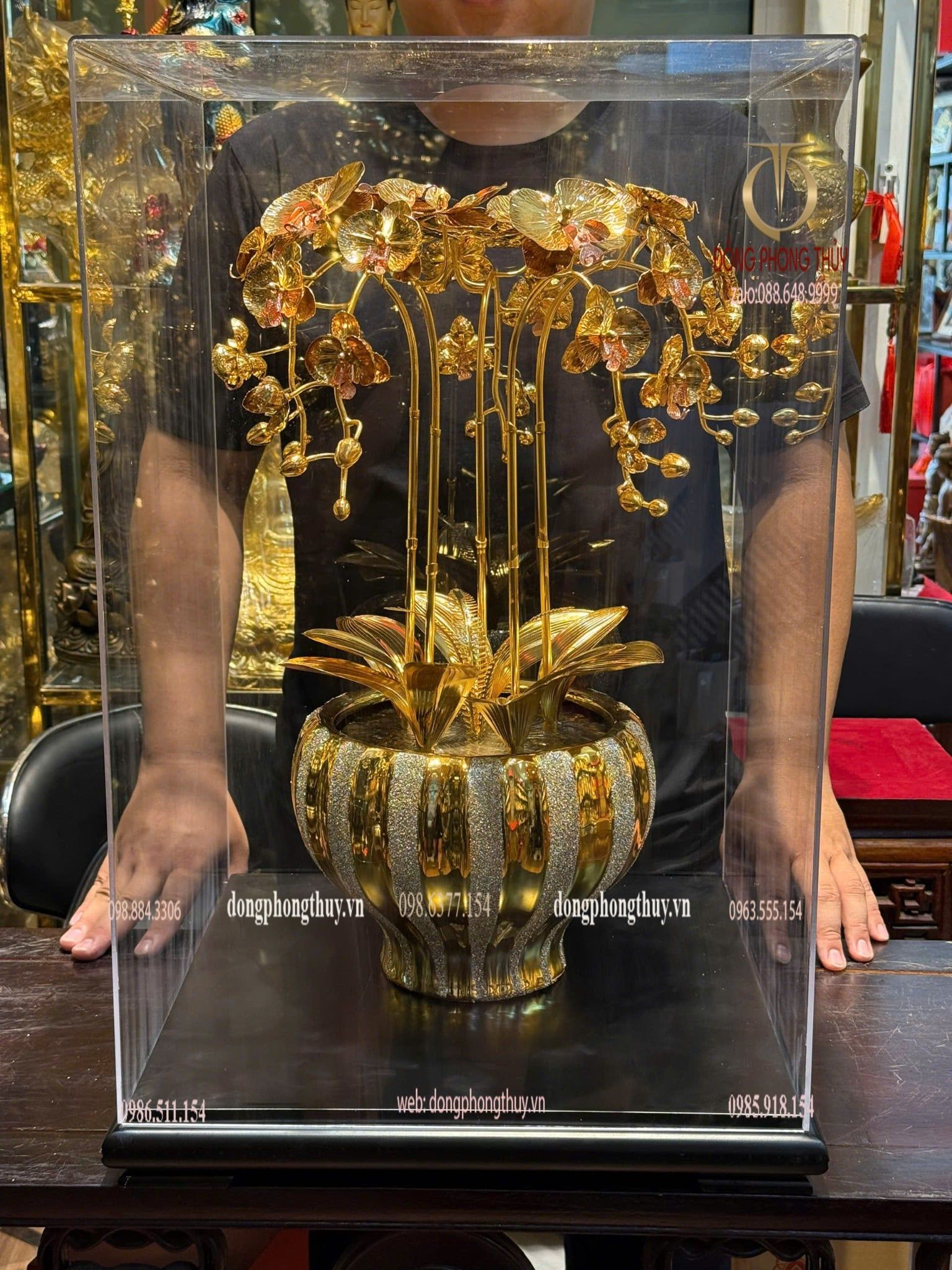 Chậu hoa lan bằng đồng mạ vàng 24k