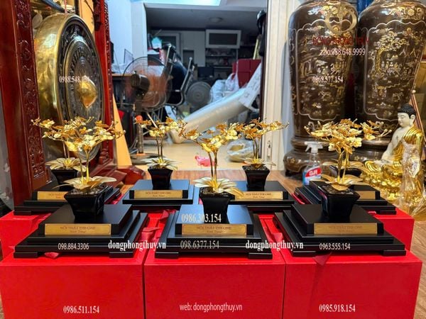 Quà tặng: hoa lan 3 cành mạ vàng 24k