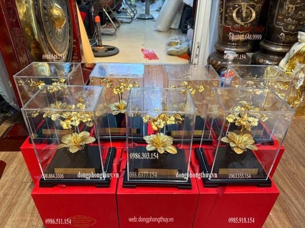 Quà tặng: hoa lan 3 cành mạ vàng 24k