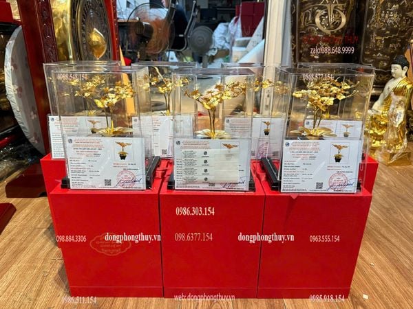 Quà tặng: hoa lan 3 cành mạ vàng 24k