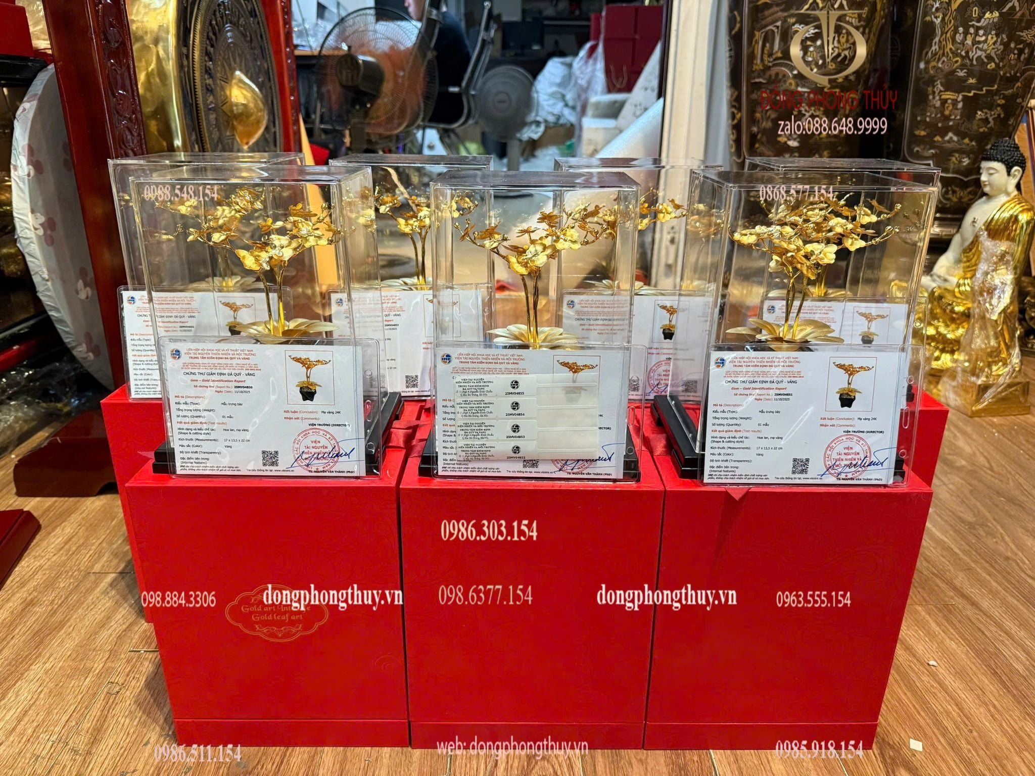 Quà tặng: hoa lan 3 cành mạ vàng 24k