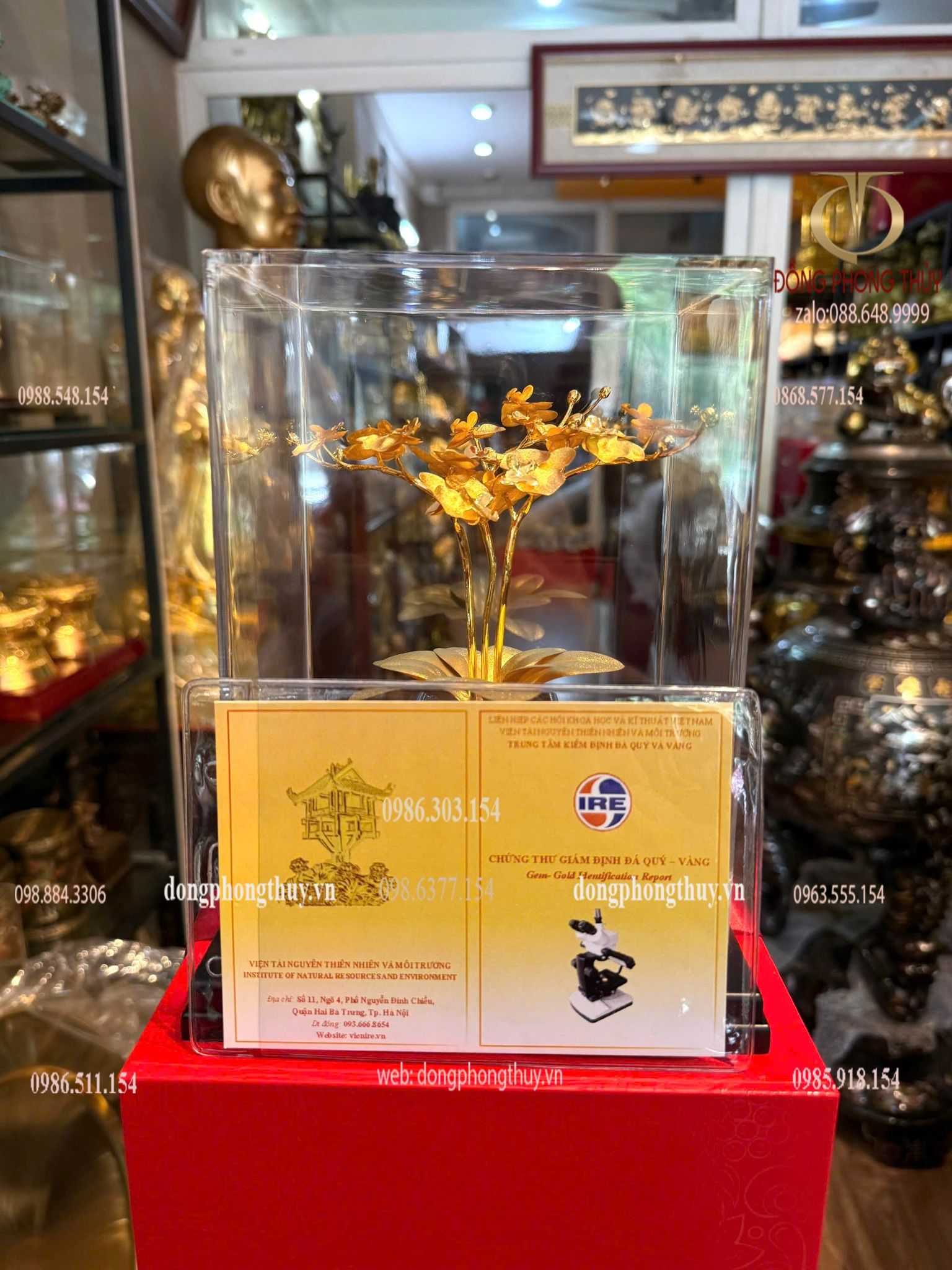 Quà tặng: hoa lan 3 cành mạ vàng 24k