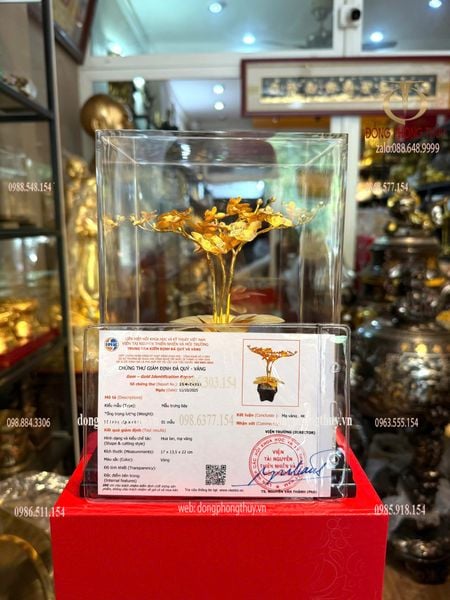 Quà tặng: hoa lan 3 cành mạ vàng 24k