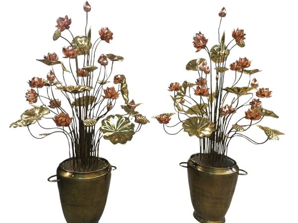 hoa sen đồng đại bái