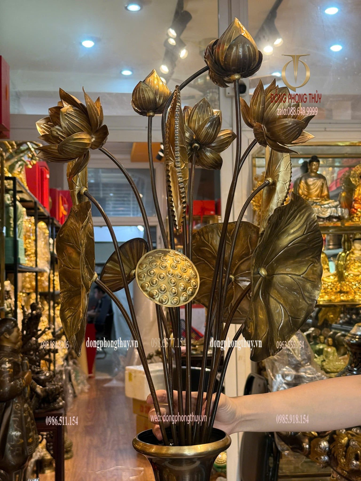 Hình ảnh sản phẩm
