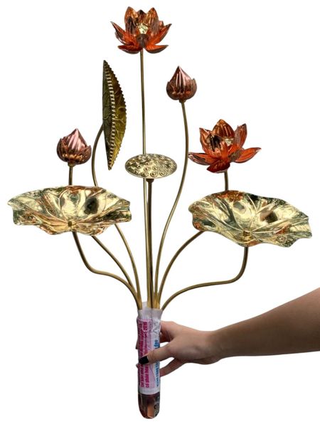 Bó hoa sen đồng 8 cành cao 50cm