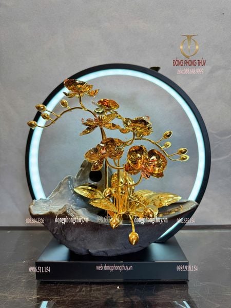 Quà tặng mạ vàng 24k-chậu hoa lan đèn led