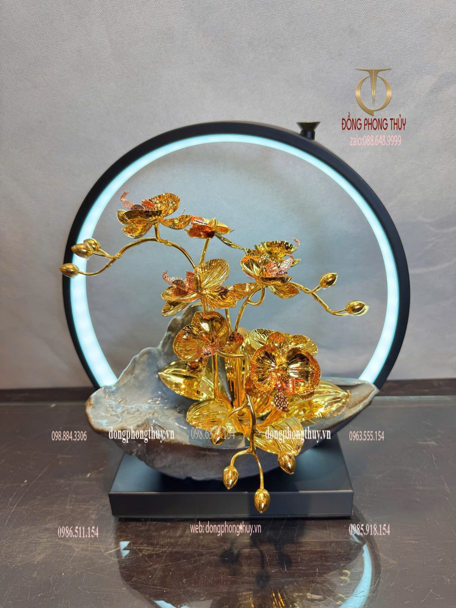 Quà tặng mạ vàng 24k-chậu hoa lan đèn led