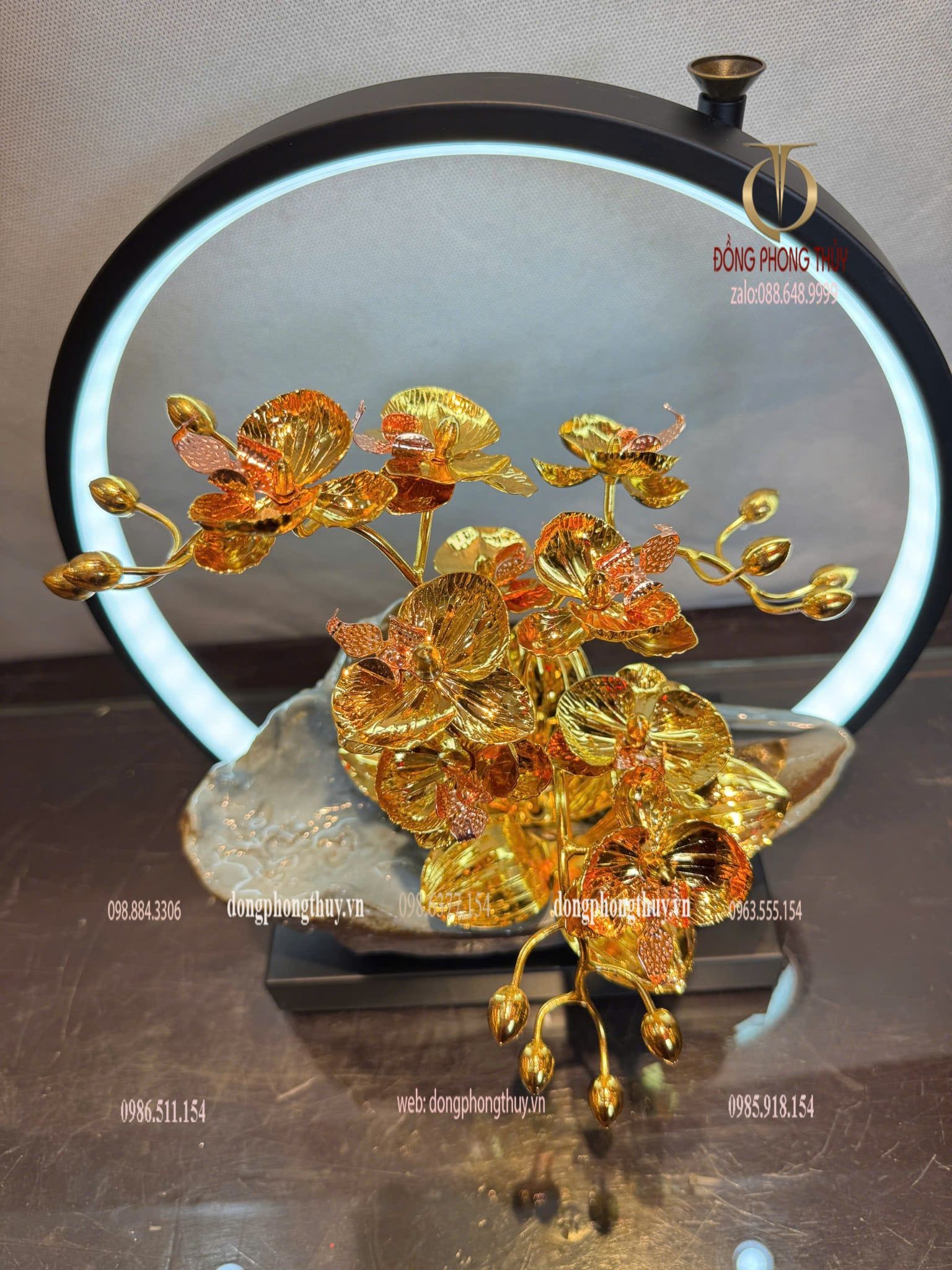 Quà tặng mạ vàng 24k-chậu hoa lan đèn led