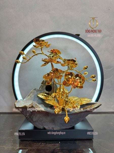 Quà tặng mạ vàng 24k-chậu hoa lan đèn led