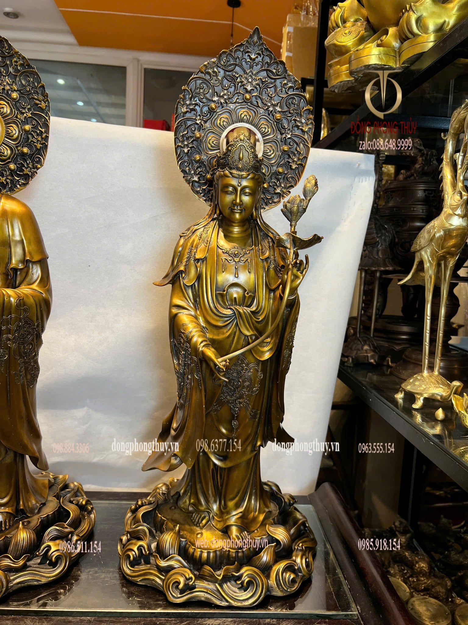 Hình ảnh sản phẩm