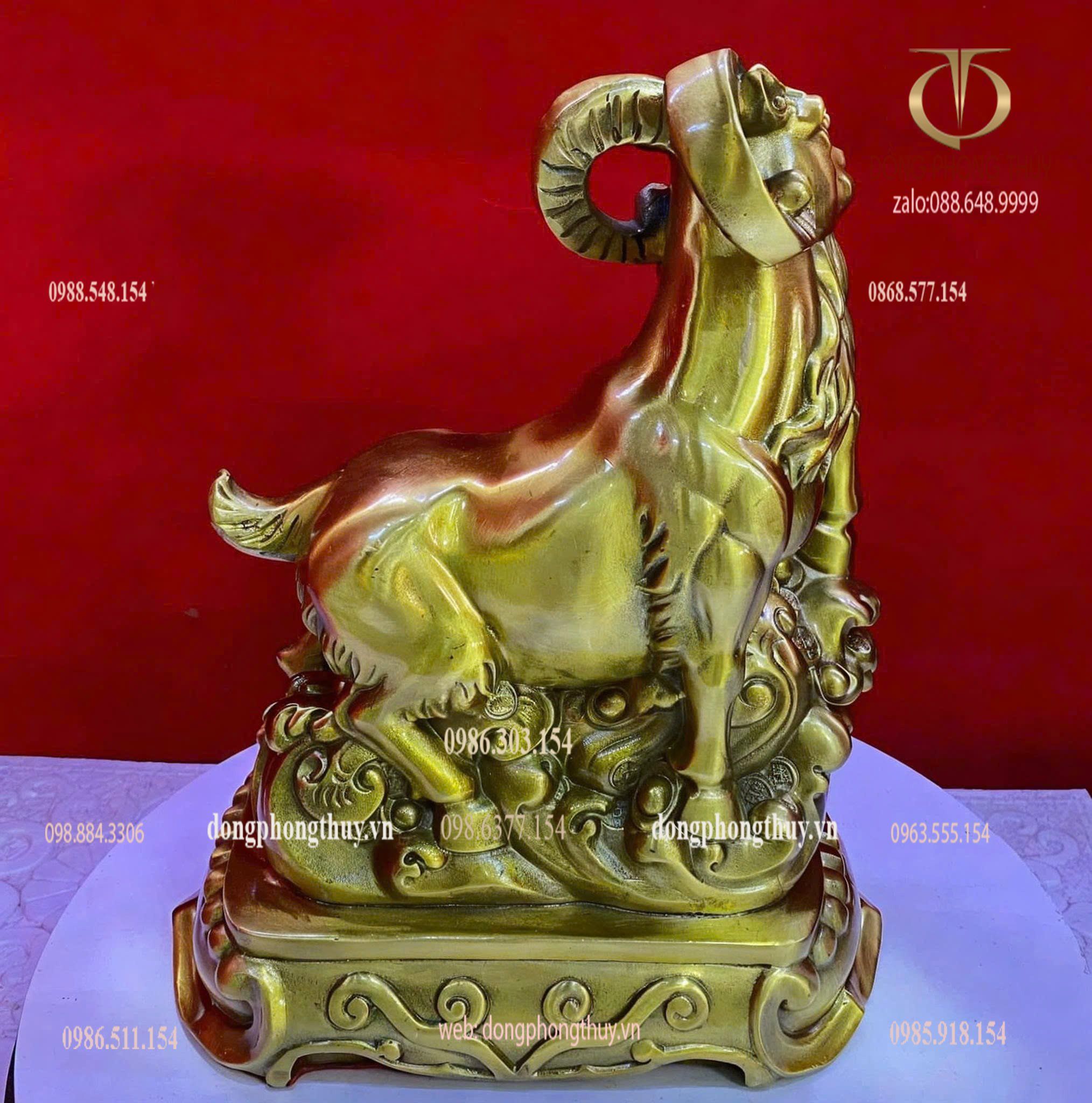 Hình ảnh sản phẩm