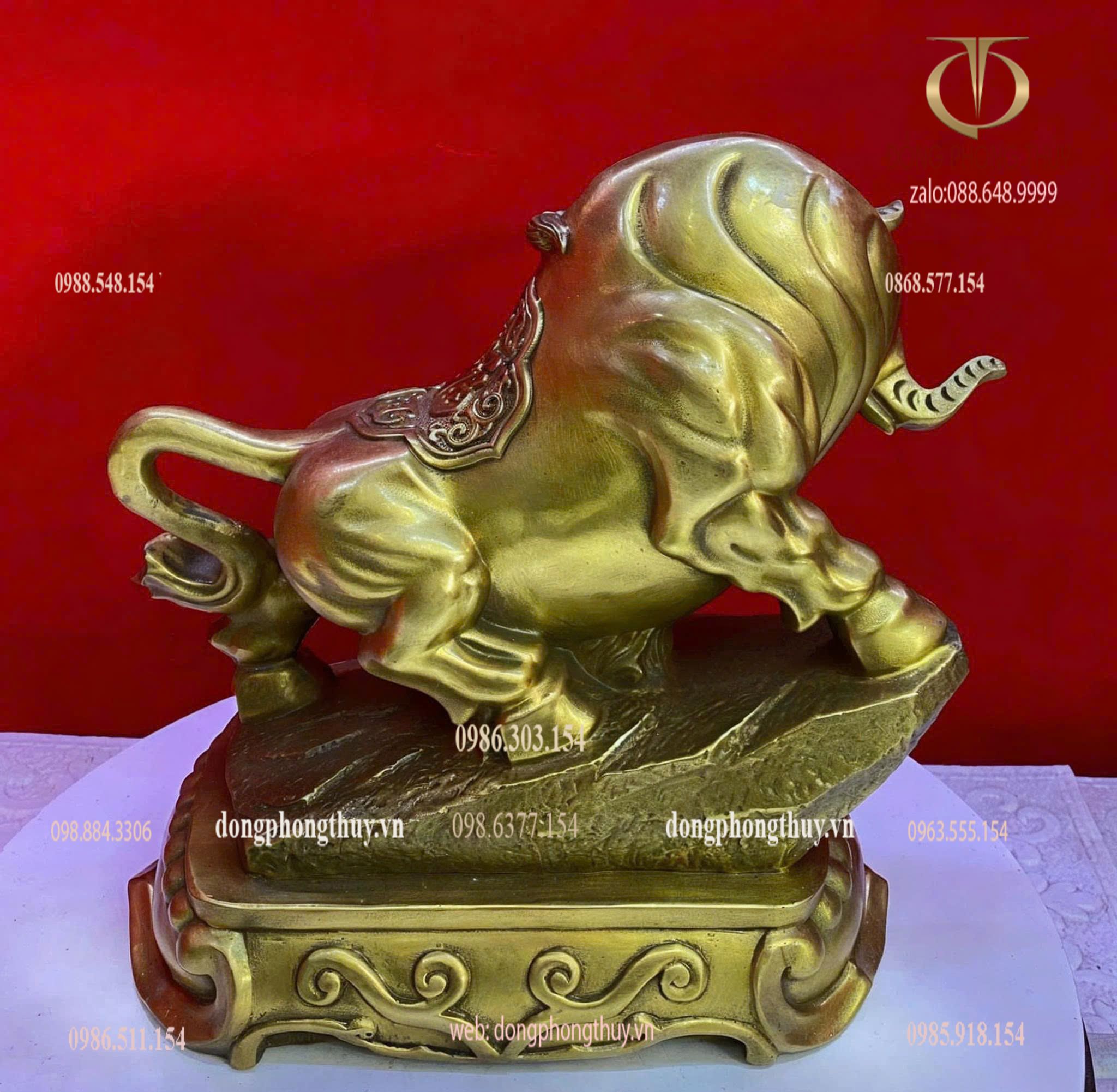 Hình ảnh sản phẩm