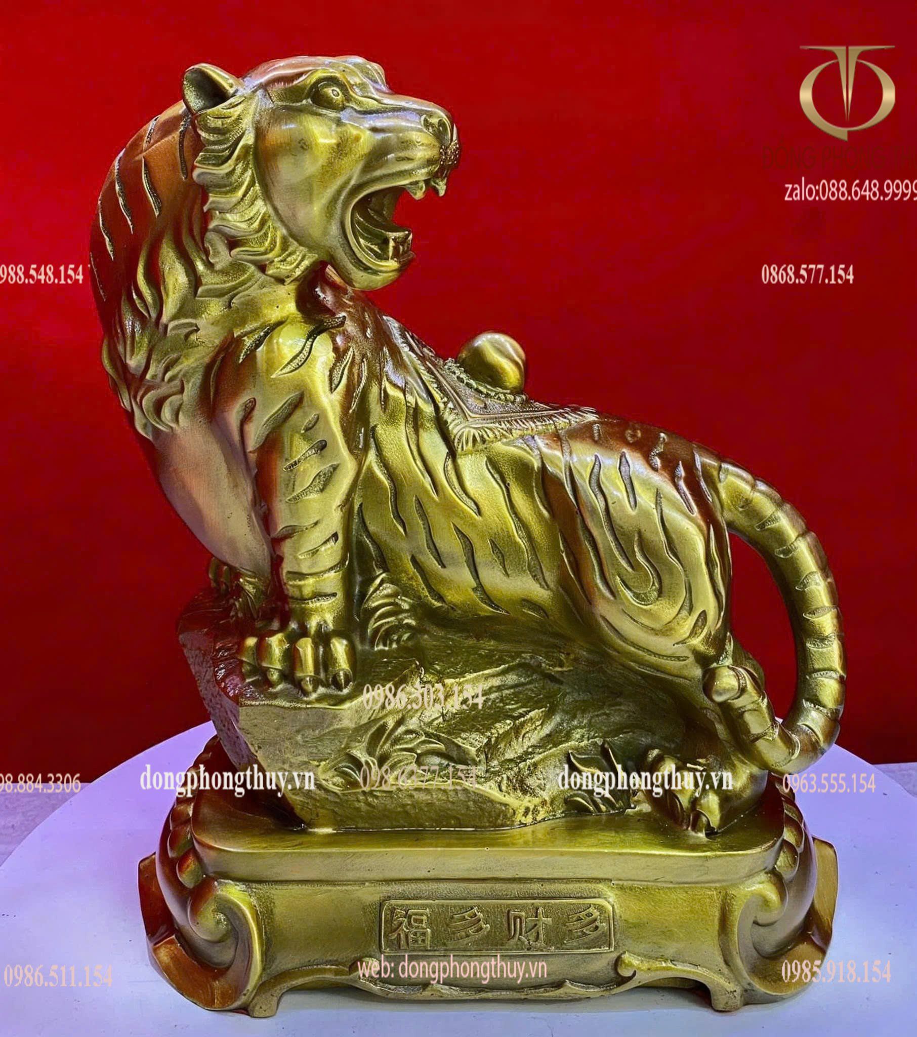 Hình ảnh sản phẩm