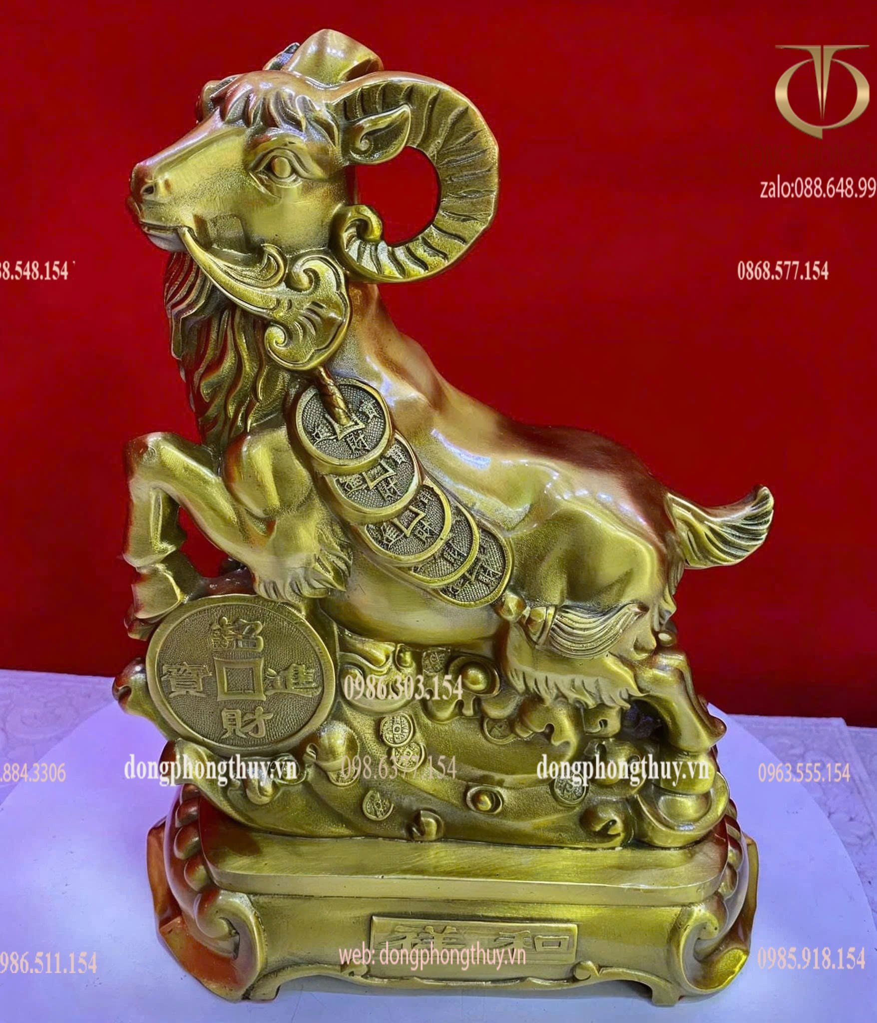 Hình ảnh sản phẩm