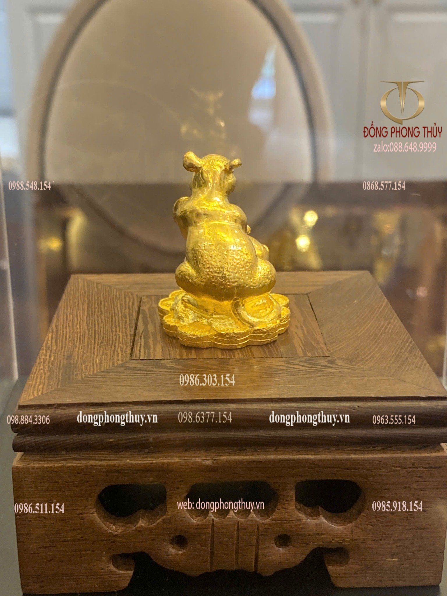 Hình ảnh sản phẩm