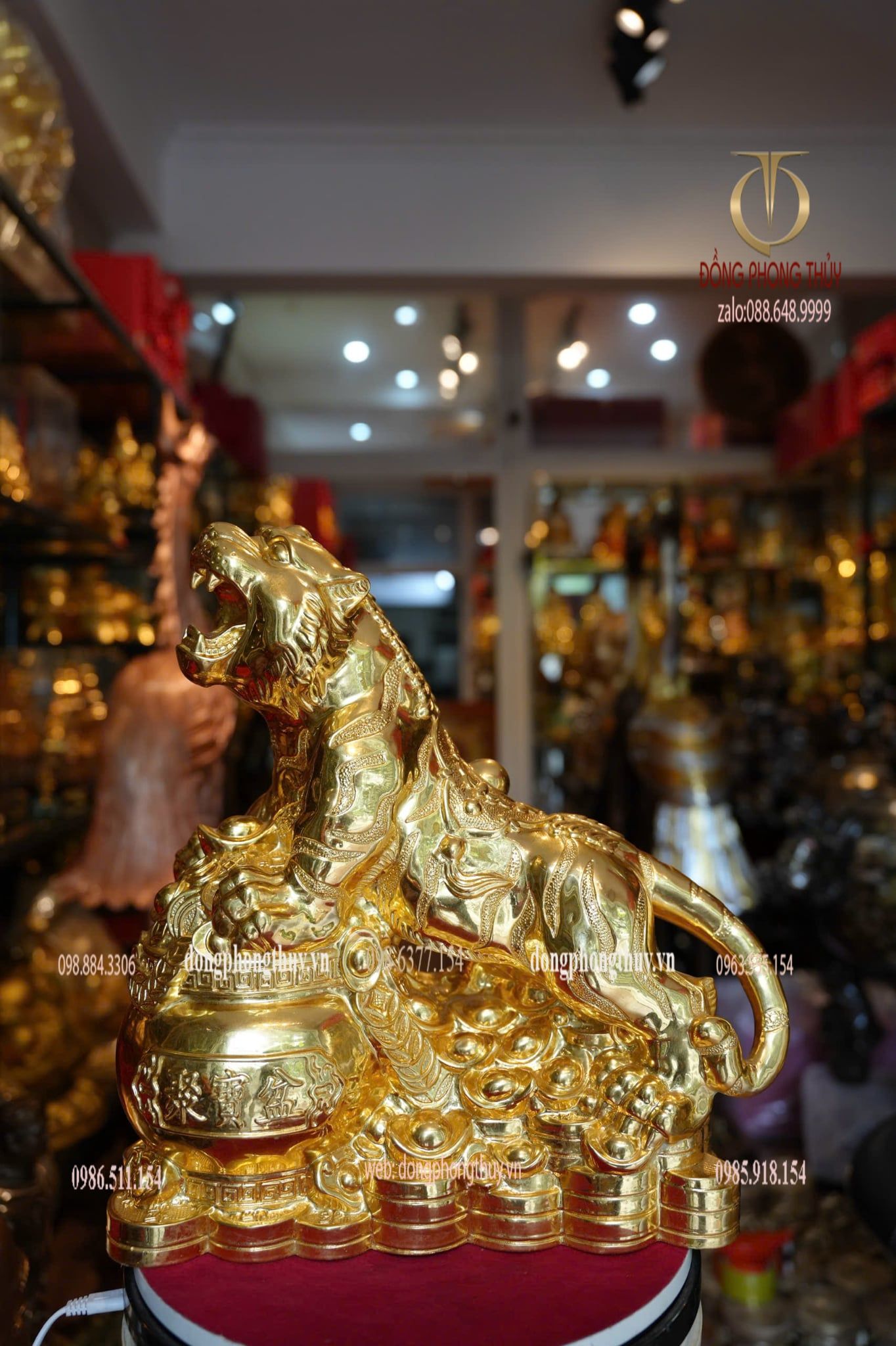 Hình ảnh sản phẩm