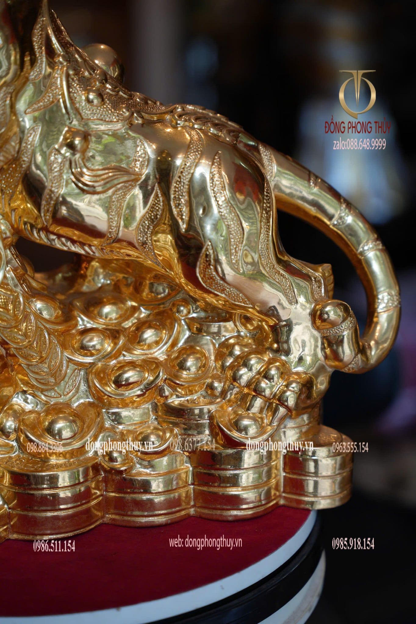 Hình ảnh sản phẩm
