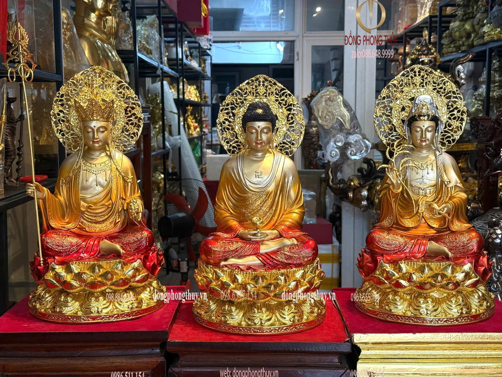Hình ảnh sản phẩm