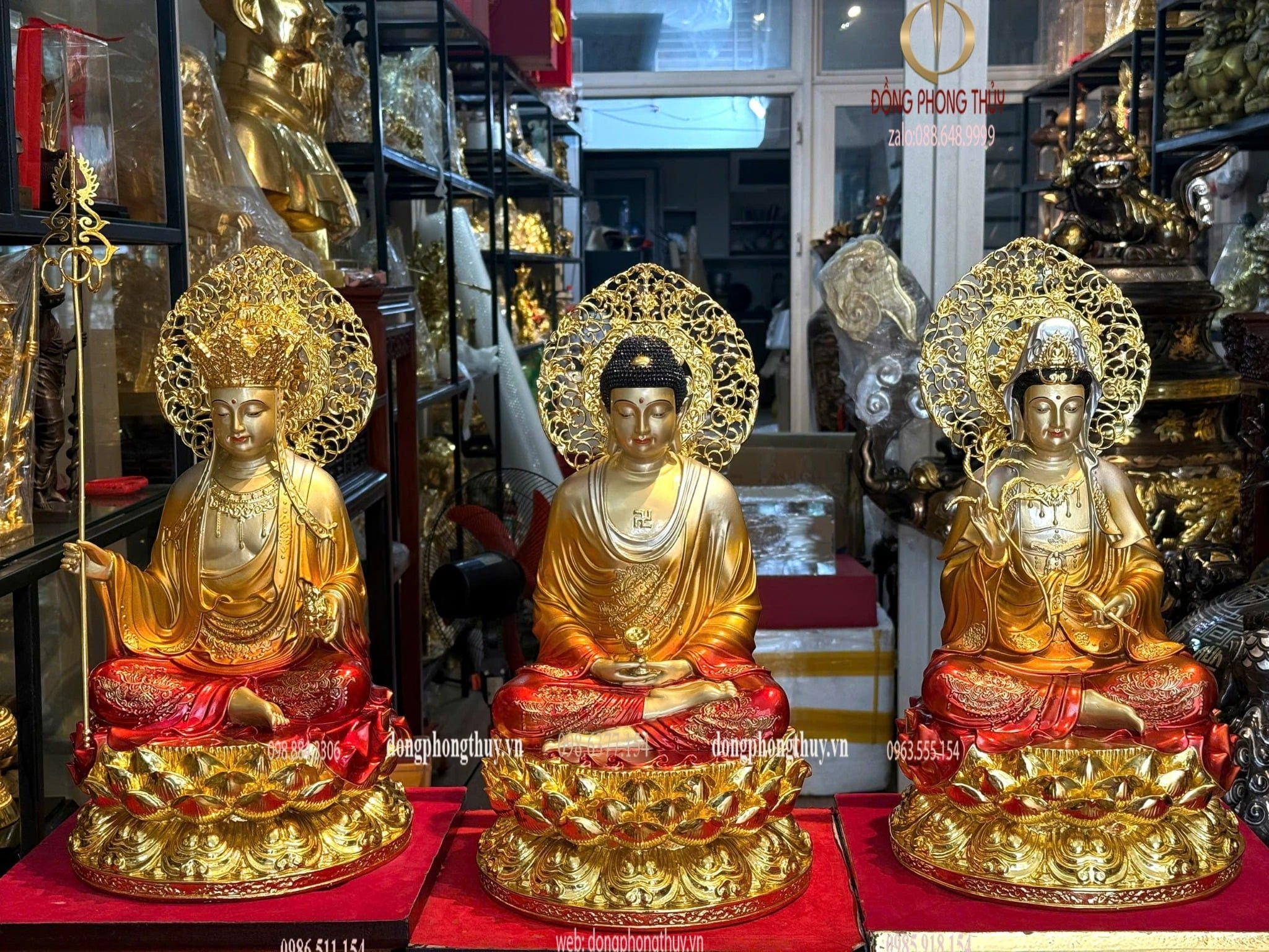 Hình ảnh sản phẩm