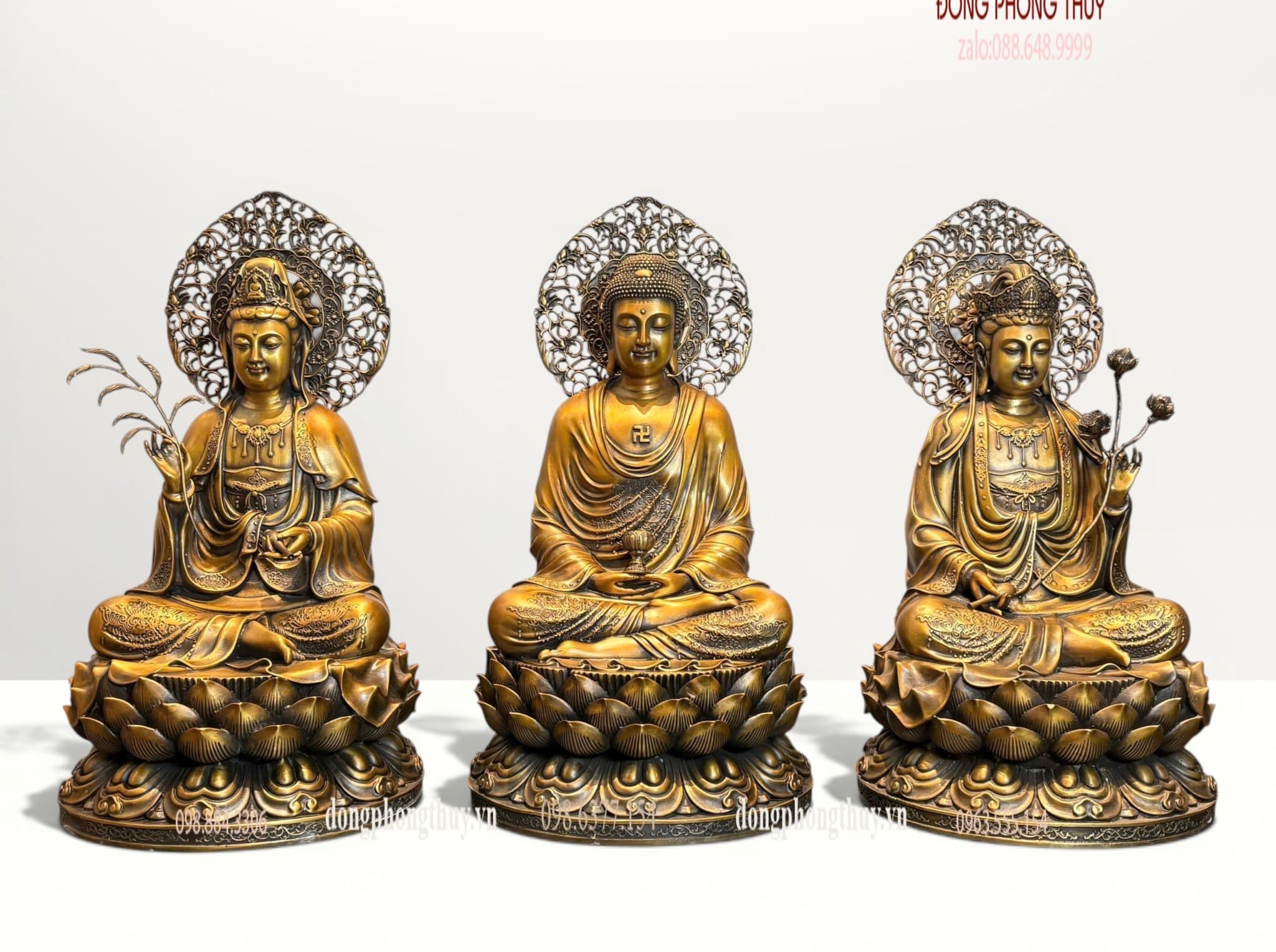 Hình ảnh sản phẩm