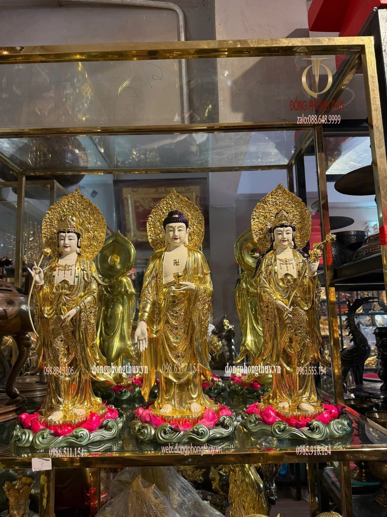 Hình ảnh sản phẩm