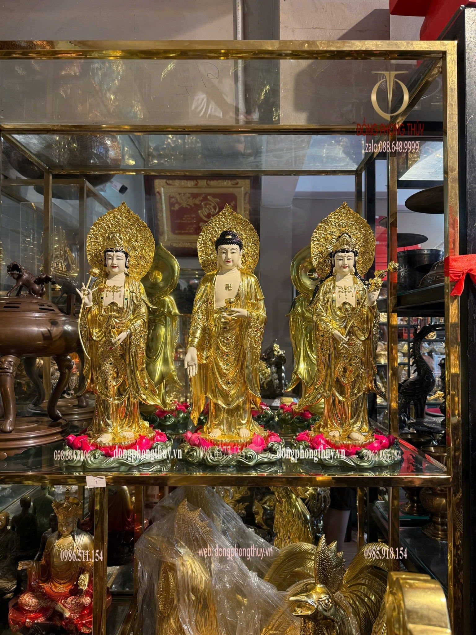 Hình ảnh sản phẩm