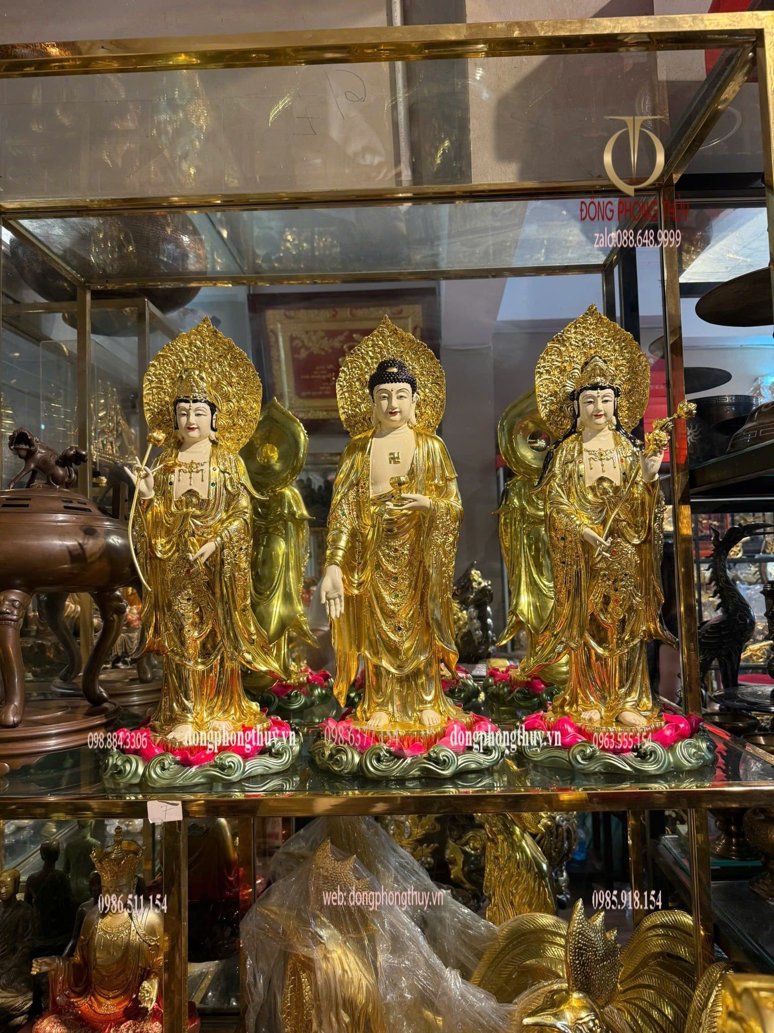 Hình ảnh sản phẩm