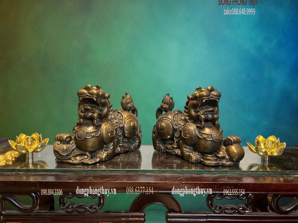 Tỳ hưu bằng đồng