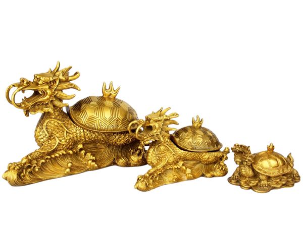 Long quy rùa đầu rồng