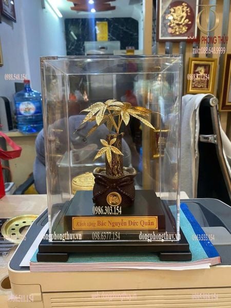 Cây kim ngân mạ vàng 24k 17x13,5x22cm