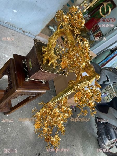 Quà tân gia mạ vàng : cây mai vàng bằng đồng mạ vàng