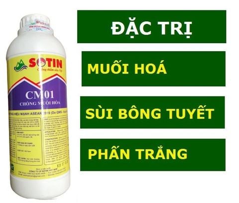 Chống muối hóa Sotin CM01
