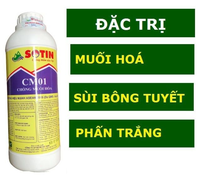 Chống muối hóa Sotin CM01