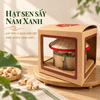Hạt Sen Tươi Sấy 100g - Collection