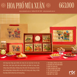  Bộ Hộp Quà Tặng Hoa Phố Mùa Xuân 