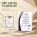  Mơ Sấy Túi 100 Gói 