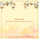  Hộp Quà Trung Thu - Mùa Thu Chín 
