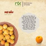  Mơ sấy 40g/túi 