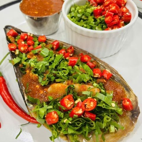 Sò Mai Size Đại Sốt Thái