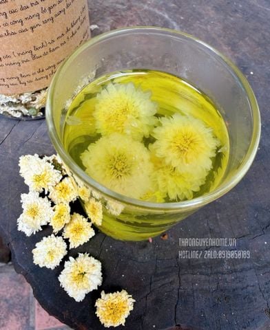  BẠCH CỐNG CÚC cúc tiến vua ( Chrysanthemum Tea) 