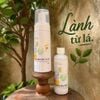 Bọt rửa mặt lá tía tô combo 250ml