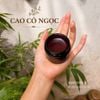 Cao cỏ ngọc (Jade Herbal Balm )