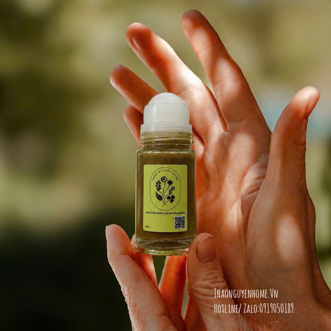 Cây Lăn Gừng Lá Ngải 50ml