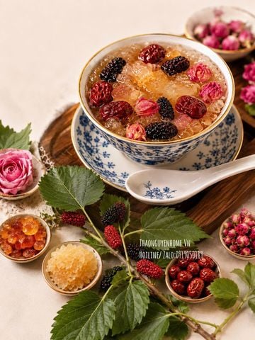  Chè nhựa đào Quảng Đông 