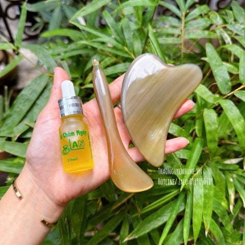  Dầu dưỡng hạt chùm ngây 