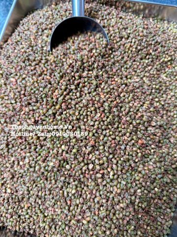  Trà mầm đậu rang thơm 